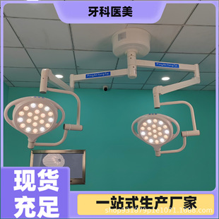 Mobile New Surgical Lighting Lamp Surgical Examination Lamp Surgical Auxiliary Lighting Lamp Factory Direct