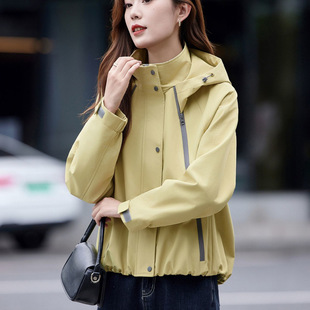 �L������Ů�̿��2026�¿�������б���޺ÿ��߶˜p�g�ٴ�����
