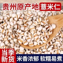 薏米仁500g小薏苡仁中药材新货贵州铁白薏米苡米仁小粒散装薏苡仁