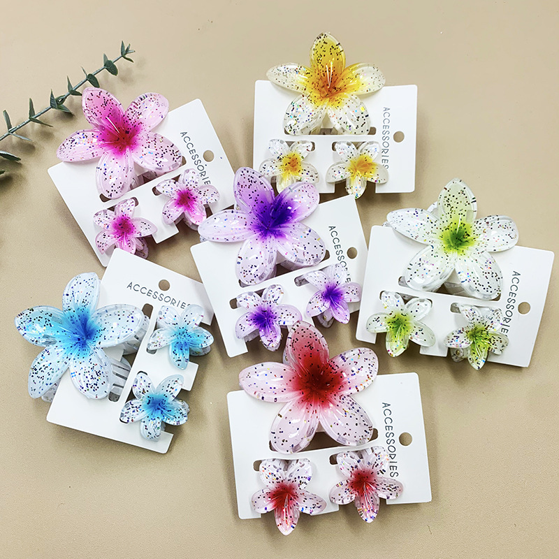 96g Weight Hair Claws Hair Accessories Type 1 Set Quantity Daily Occasion Plastic, Resin Material Plumeria Pattern All Seasons Season Women's Gender Stoving Varnish Design Cute Style Cute Women's Plumeria Plastic Resin Stoving Varnish Hair Claws 4