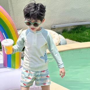 Children's Swimsuits, Boys' Swimsuits, Small and Medium-Sized Children's Long-Sleeved Sun Protection Swimsuits, Swimming Trunks, Split Swimsuits, Boys' Beach Play Suits