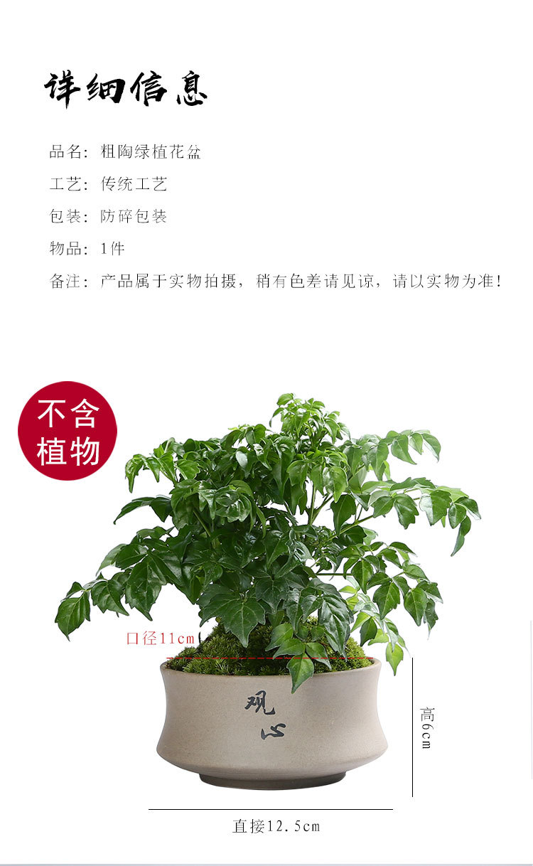 绿植花盆_04