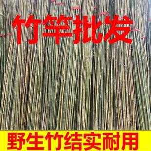 Vegetable Garden Rack Bamboo Pole Beans Cucumber Climbing Rack Gardening Fence Fence Flagpole Bamboo Pole Fruit Climbing Rack Support
