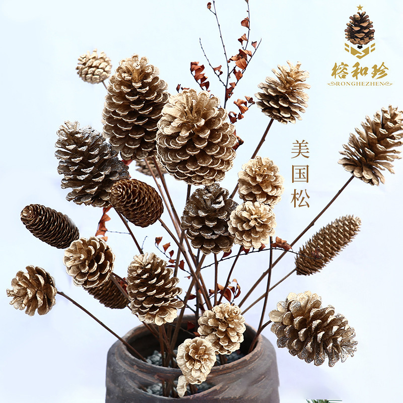 Golden Pine Cone with Holes, Local Pine, American Pine, Dried Flower Bouquet, Finished Product with Mounting Rod and Gold Foil