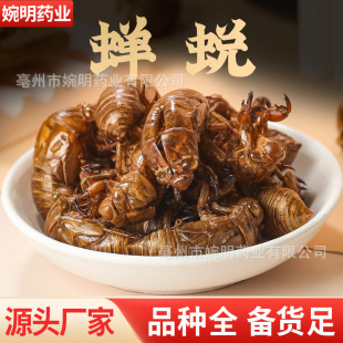 �s͑ ˮϴ�s�� ֪��Ƥ�s͑ �s͑���x͑�� ����ă��s͑���l