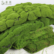仿真苔藓草坪棕丝青苔草皮背景植物墙装饰绿植微景观植绒草皮绿植