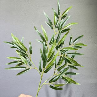 ���ӷ������~�Gֲ�������~��ˮ�����Ә�Ҿ��b���ķ������ֲ��