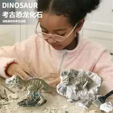 匹诺考古挖掘挖掘恐龙骨架盲盒考古恐龙挖掘考古恐龙化石整体恐龙