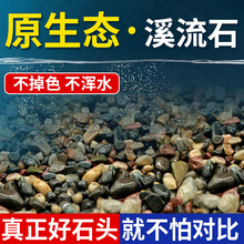 溪流石鱼缸底砂造景专用天然溪流砂鹅卵石龟缸水族箱免洗原生万桃