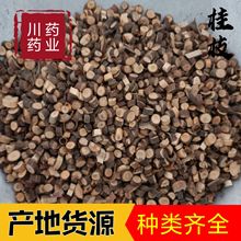 桂枝500g 中药材批发供应【川药药业】诚信经营【桂枝尖】