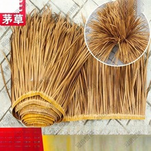 ����ȼ��������X�Ͻ����쵾��é�������b�ë�ݷ�������߼�