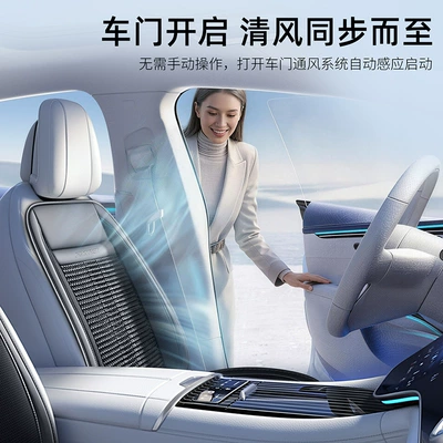 New product: Cross-border car seat cushion Cool pad