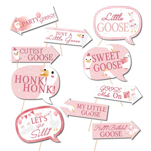 Silly Goose ɵ�ZŮ��һ�ܚq���մ����Z��ɫ���}�Ɍ���Ů���յ���