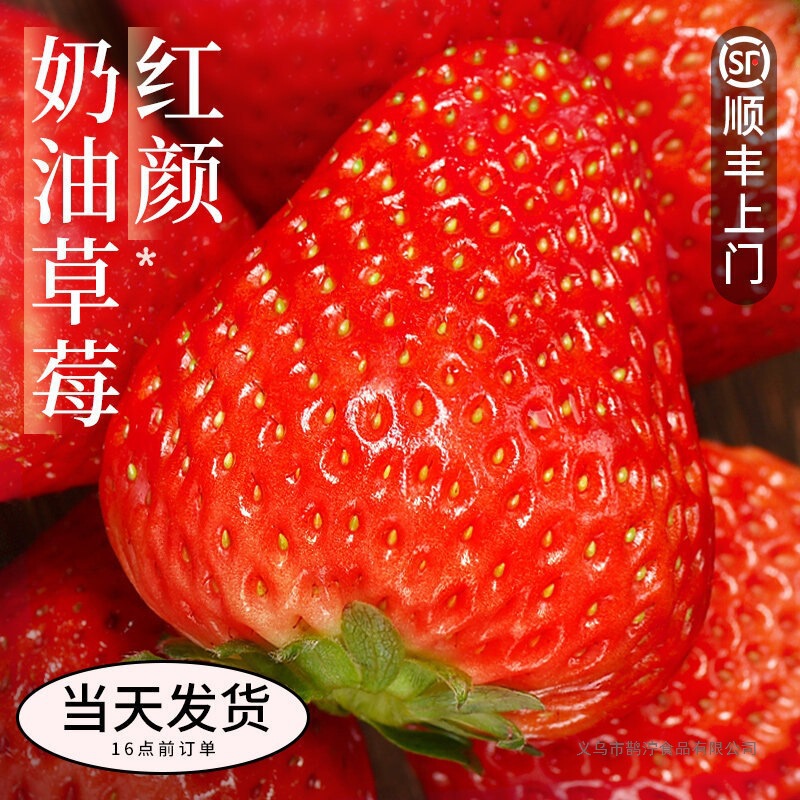 Strawberry Fresh Fruit Gift Box 2.5kg Red Beauty Creamy Strawberries for Pregnant Women, Whole Box of 99 Strawberries, Free Shipping Via Sf Express Strawberry Fresh Fruit Gift Box 2.5kg Red Beauty Creamy Strawberries for Pregnant Women, Whole Box of 99 Strawberries, Free Shipping Via Sf Express