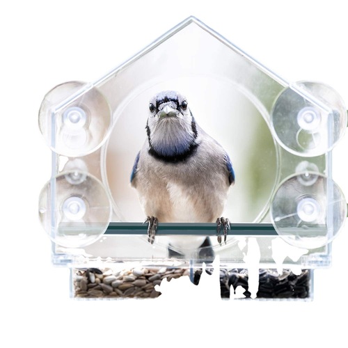 Housing Plastic Acrylic Organic Glass Bird Feeder Acrylic Pet Bird Feeder