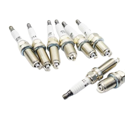 Spark Plug Across Borders, Alışdırma şamı (Sveçalar)