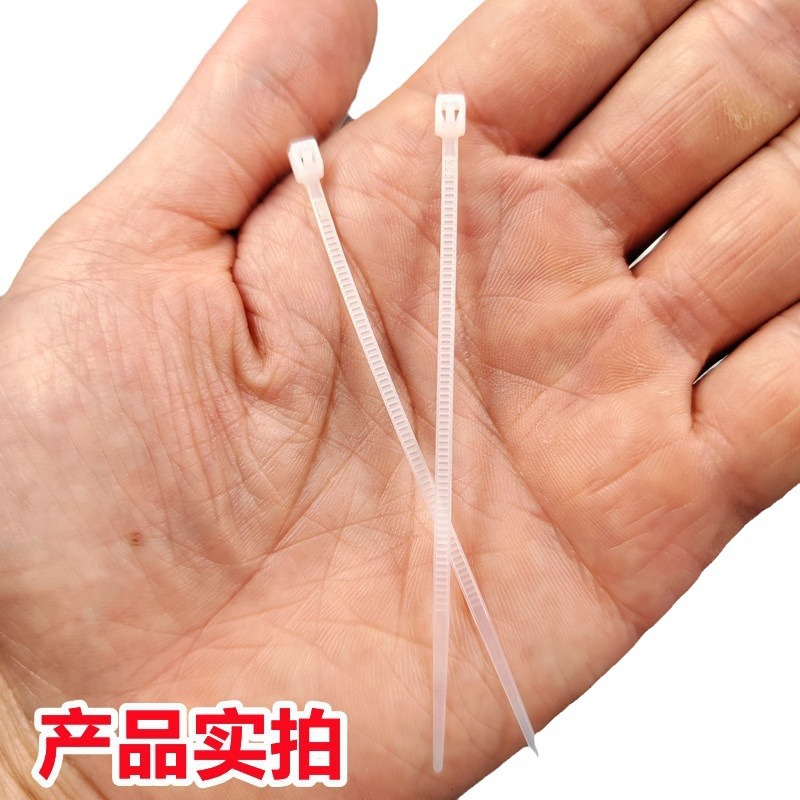 Mini pequeña atadura de cables plástica disponible de la atadura de cables de nylon de autoretención tamaño pequeño 3*60 80100m