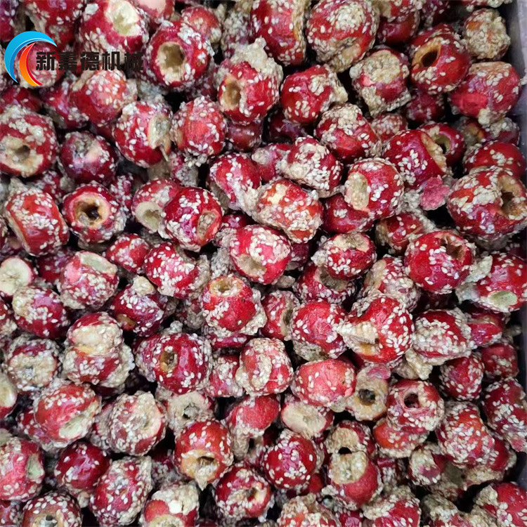 山楂上糖机 新嘉德定制全自动上糖设备 薯条上糖机器