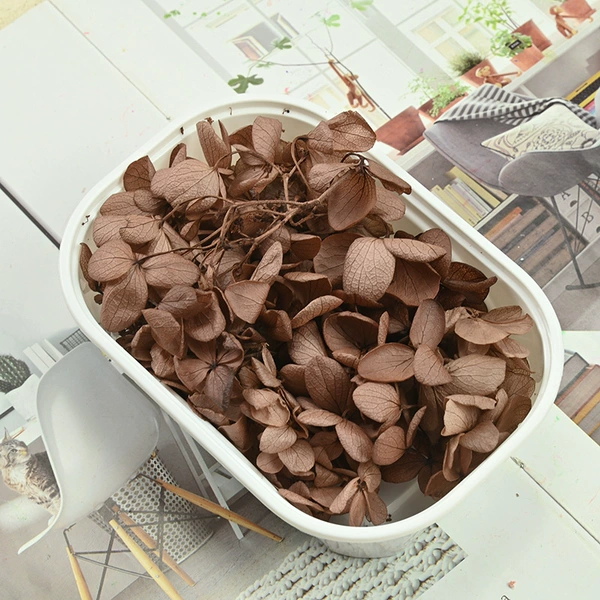 B -level wooden coffee coffee