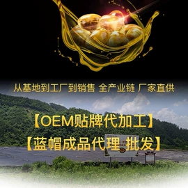 保健食品;灵芝;代用/养生茶