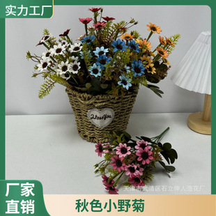 ������ɫСҰ�� С�ѻ��r�ղ�˹�ռҾӾƵ�ǱP�b[�żٻ����l