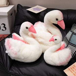 ��ͨ�������Zë�q�����Ů�Ĺ�����ż��ͯ��鰲�᲼���޶Y����؛