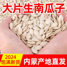 Ϲ؛Ϲѳ؛İ׹ӴƬɢboƯl