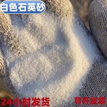 ��ɳʯӢɰ��ɫɳ�^�V��ɰ�Ƶ�����Ͱ���Ҹ��쾰ɰ����ɰ�~��ɰ