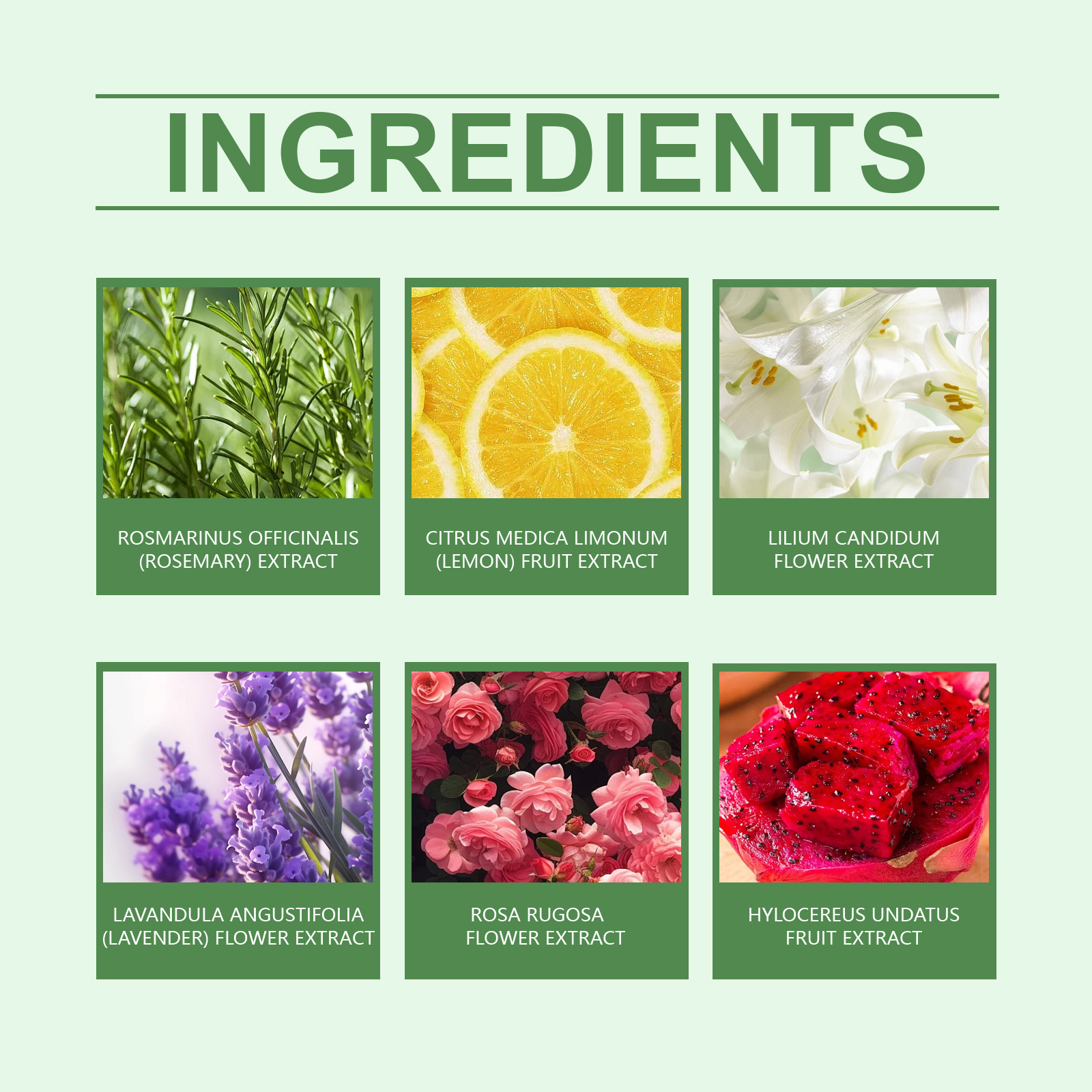 Boule de douche aromatique, parfum de bain aux fleurs botaniques nettoyant et hydratant pour le corps Boule de bain aromatique colorée_voghion.com