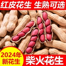 2024红皮花生新鲜山东原味花生带壳炒熟红衣花生晒干四粒红炒货