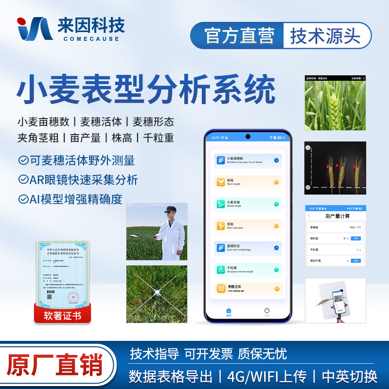 小麦表型检测仪亩穗数分析仪麦穗形态检测仪小麦表型分析系统