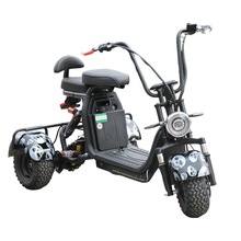 2022�¿����늄�܇С��늄���݆܇����܇늄�ԽҰ����܇citycoco