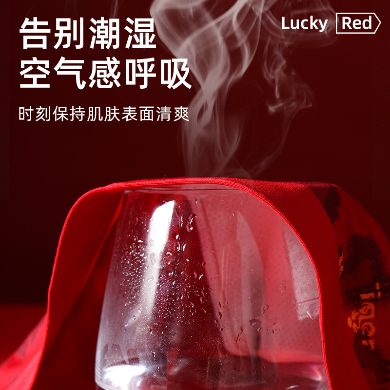 [Procesamiento personalizado] este año de vida hombre ropa interior estampada personalidad tendencia impresión pantalones de corta al por mayor OEM