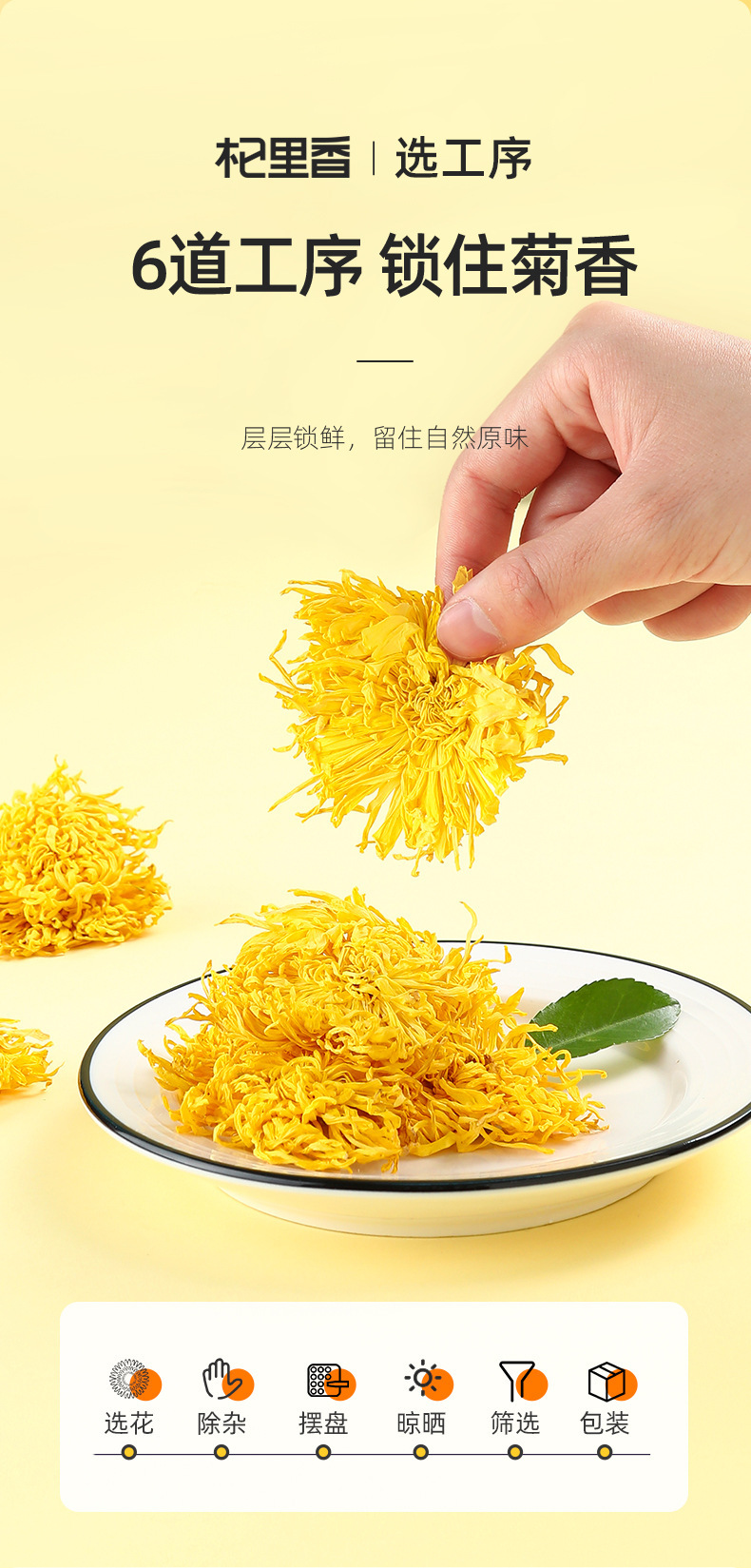 Golden Silk Imperial Chrysanthemum Tea Dried Flower Buds One Bloom Per Cup Sweet Floral Herbal Tea 20g Jar quality and texture