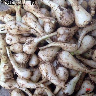 �w�^���r���~�u���^�����rˊ�r�ҽ����r�߲˕r���߲����uͨ���l