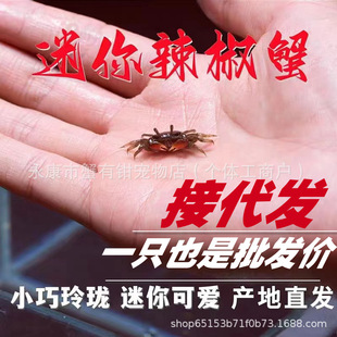 ����з����з��������зС�з���w����з�^�pз�t�з����з���l