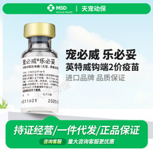 英特威宠必威乐必妥犬型黄疸出血性钩端螺旋体宠物狗狗疫苗默沙东