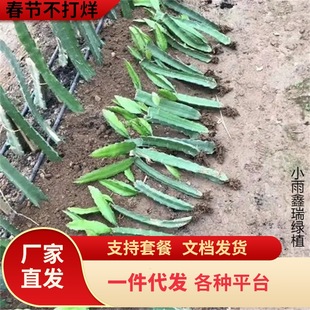 �t�Ļ����������ͥ�̨ͥԺ�ļ��ϱ��Nֲ����ˮ���N�箔��Y��