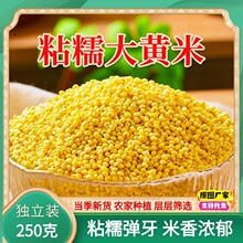 ���ږ|�����S������250gճŴ�������S�כ����r�ҴּZ�s�Z�����