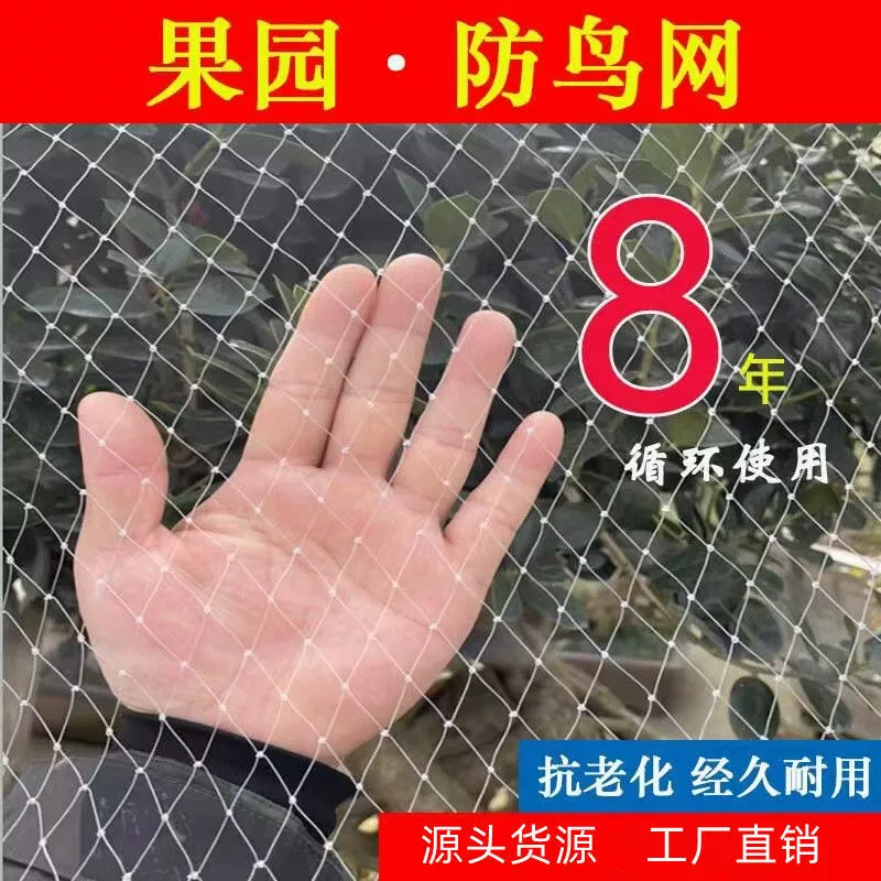 Орчард Птица-защитная сетка Виноград Вишня Теплица Бытовая фруктовое дерево Птица-защитная сетка Разведение рыбного пруда Skynet Нейлоновая сетка На открытом воздухе