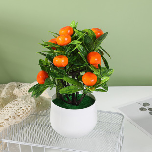 �羳����ˮ������12��������ٻ����ԏS��ֱ�N�ٻ� ���� �����辰