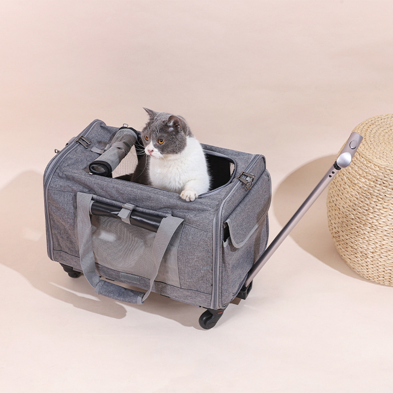 Transportín para gatos, carrito para mascotas para exteriores, jaula plegable y transpirable para mascotas, caja de transporte tipo bandolera para perros