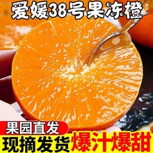 四川爱媛果冻橙38果冻橙当季纯甜现摘橙子柑橘蜜桔沙糖桔包邮