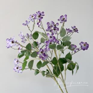 ���滨Ұ�Nޱ��c�û���Y�÷��滨�߼��б������컨�廨�b����Q