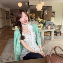 ���� 2026�����¿��n�������Gɫë�²��c�������¯B�����b�ɼ���