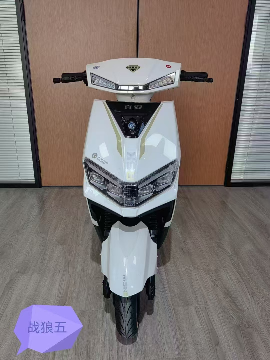 Bicicleta eléctrica de pedal grande, bicicletas eléctricas de larga duración, bicicletas eléctricas adultas, bicicletas eléctricas de dos ruedas, motocicleta eléctrica para dos personas