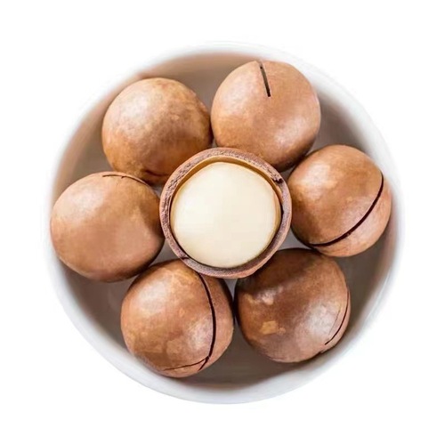 Macadamia nut new arrival cream large grain open 500g bag net weight wholesale and retail internet celebrity snacks