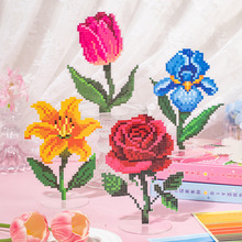 ZeDIYƴNY ccȤζ≺YС[