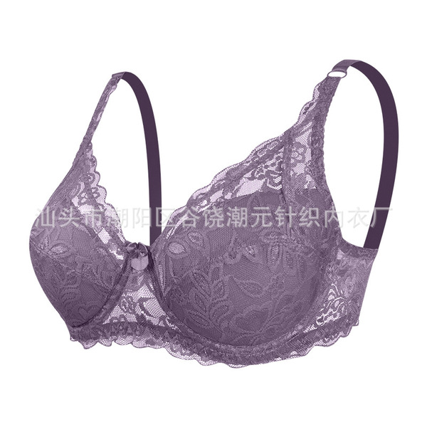 Foreign Trade Cross-Border New Traditional Underwired Lace Bra for Women Adjustable Large Size Breast-Retracting Intimates Wholesale