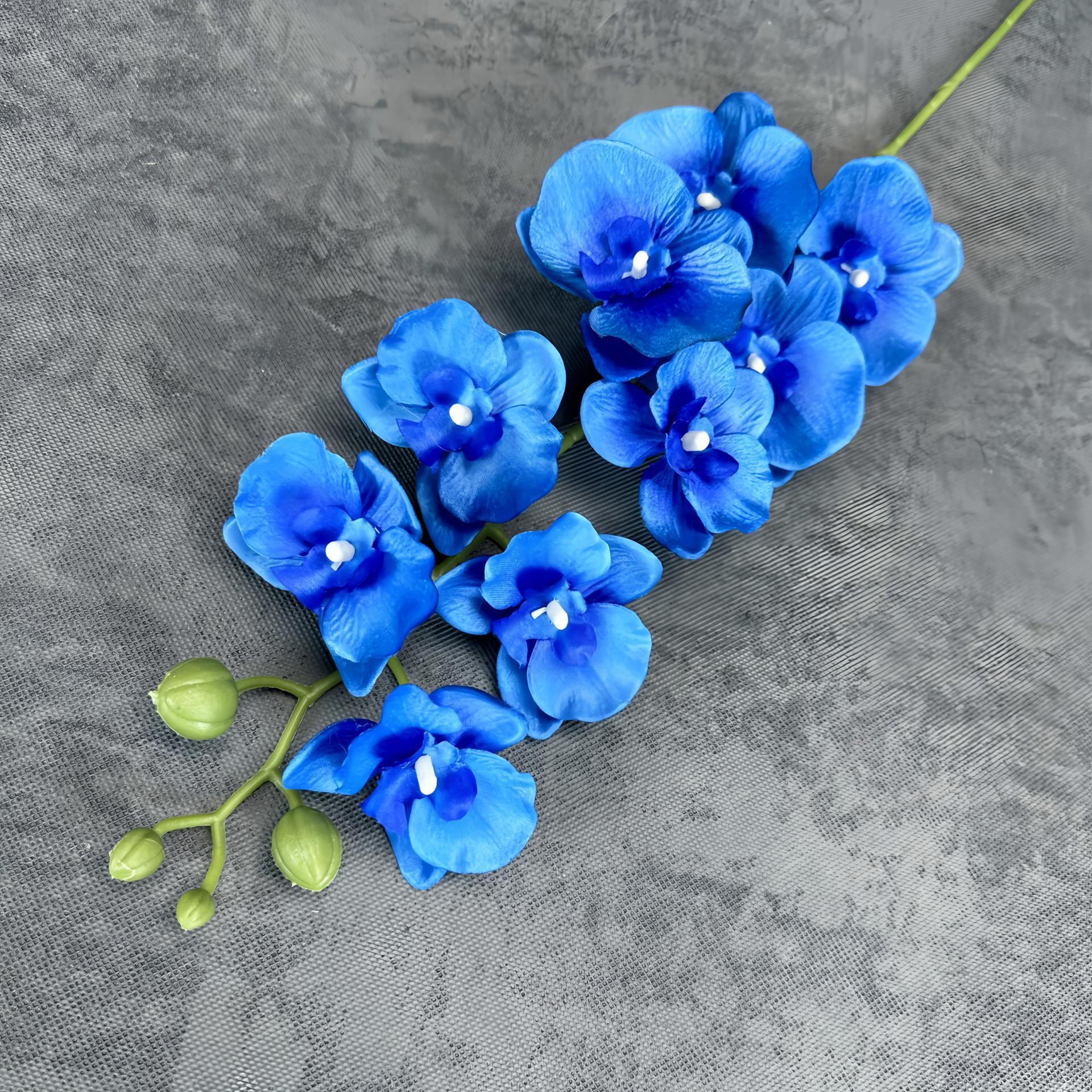 Azul precioso